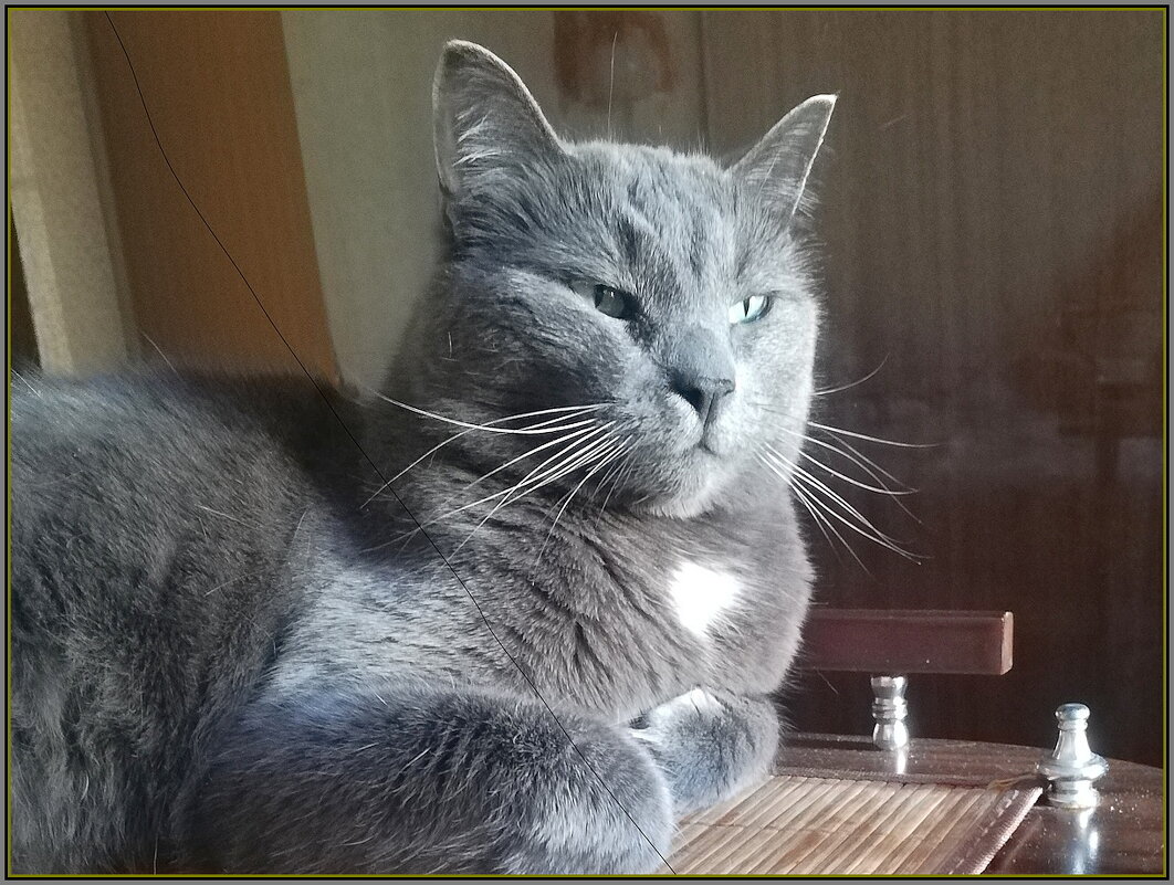 Басик в Москве - Ольга Довженко