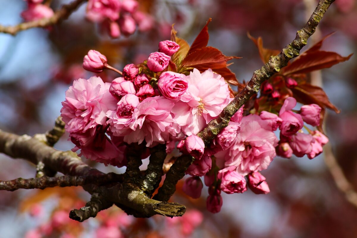 Доброе утро - Юрий. Шмаков