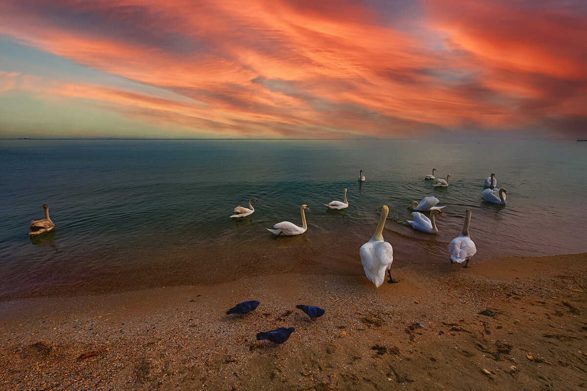 Релакс на Чёрном - Vladimir 