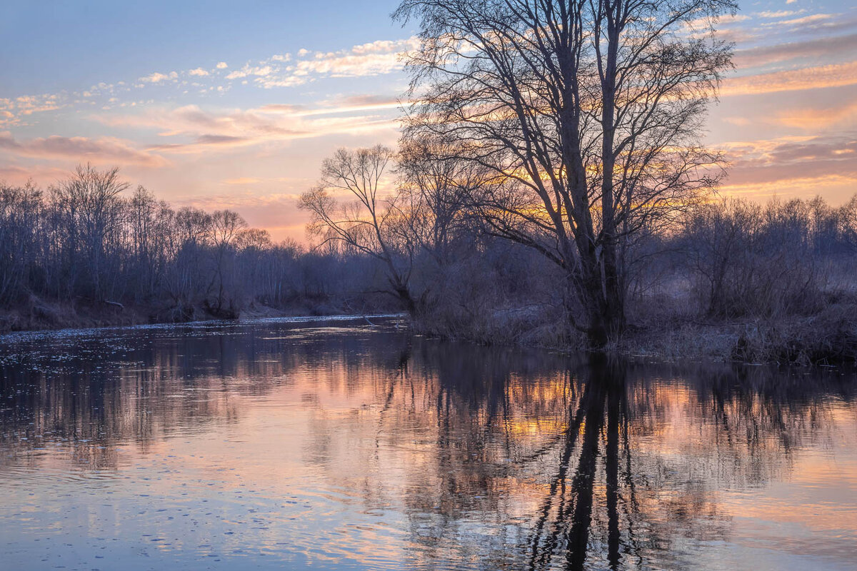 **** - Елизавета .