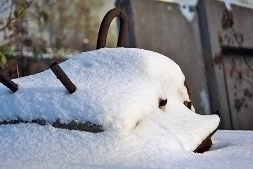 Ёжик - Алексей Смирнов