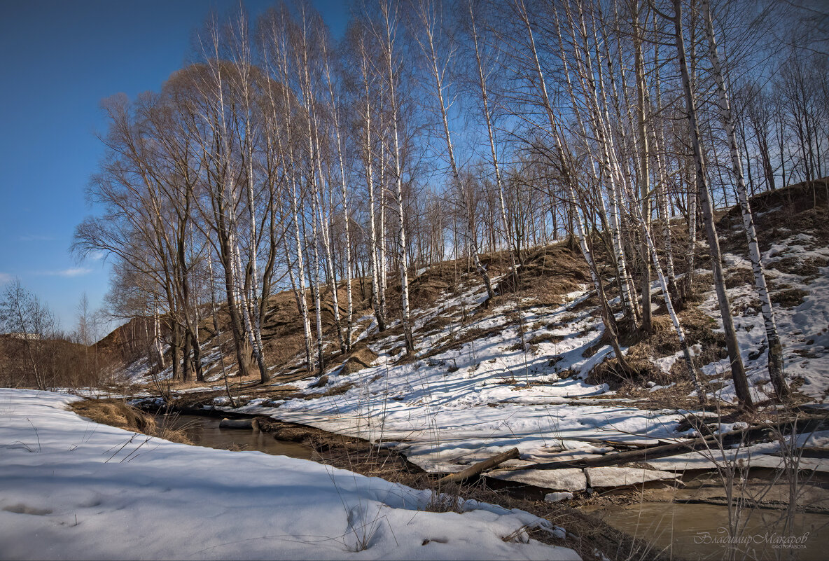 "Апрельский ясный день. У речки"© - Владимир Макаров "Апрельский ясный день. У речки"© - Владимир Макаров