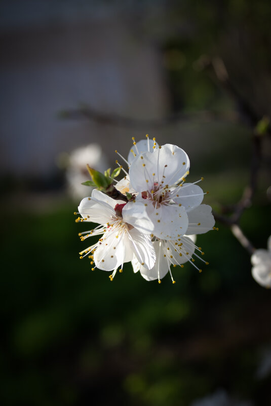 *** - Александр. AVG100 ---