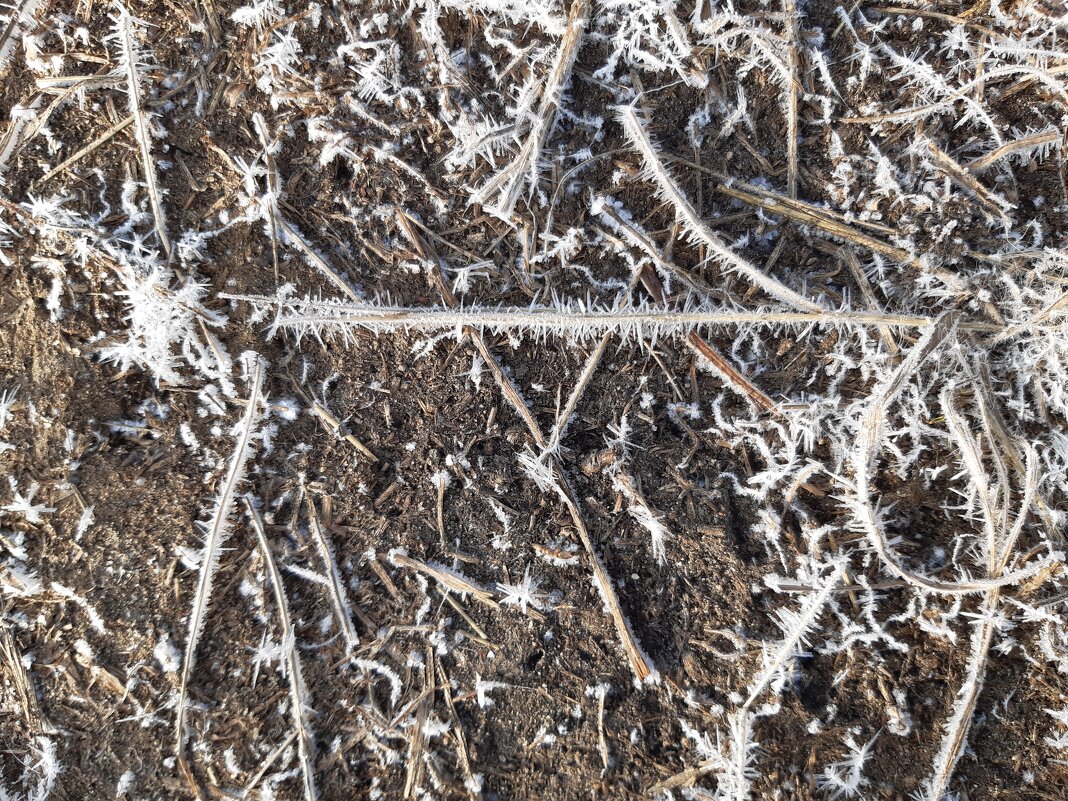 Весна идёт, весне дорогу... - Галина Минчук