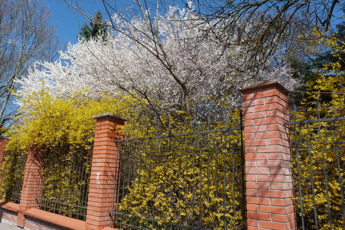 Весенний  Крым - Валентин Семчишин