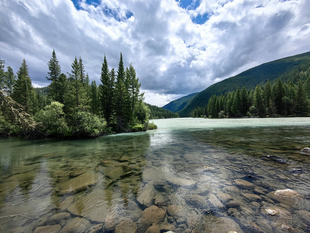 Прозрачные реки Алтая - Галина Козлова 