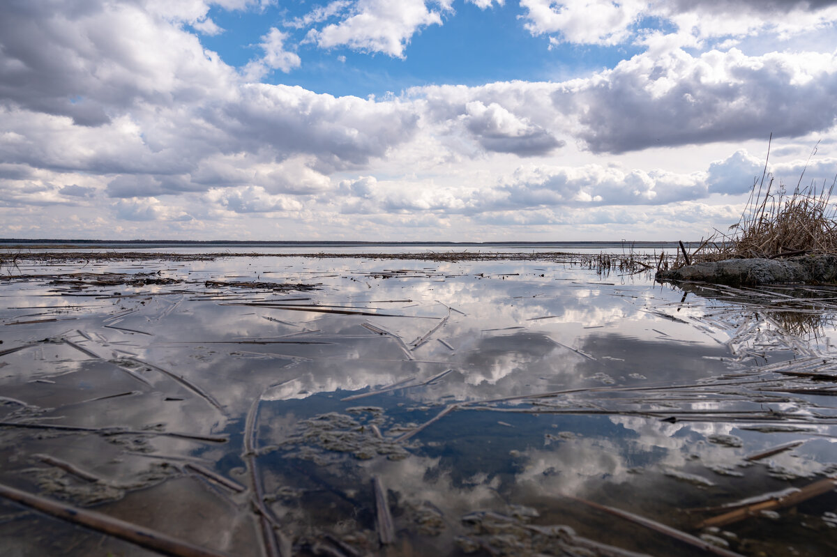 ,,,, - Сергей Яковлев