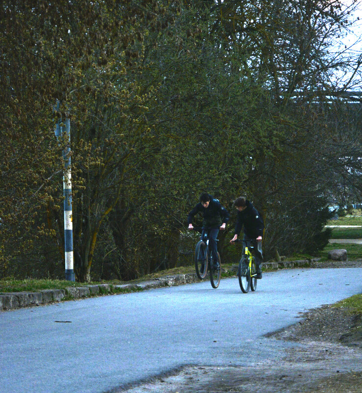 Весна пришла - Елена K