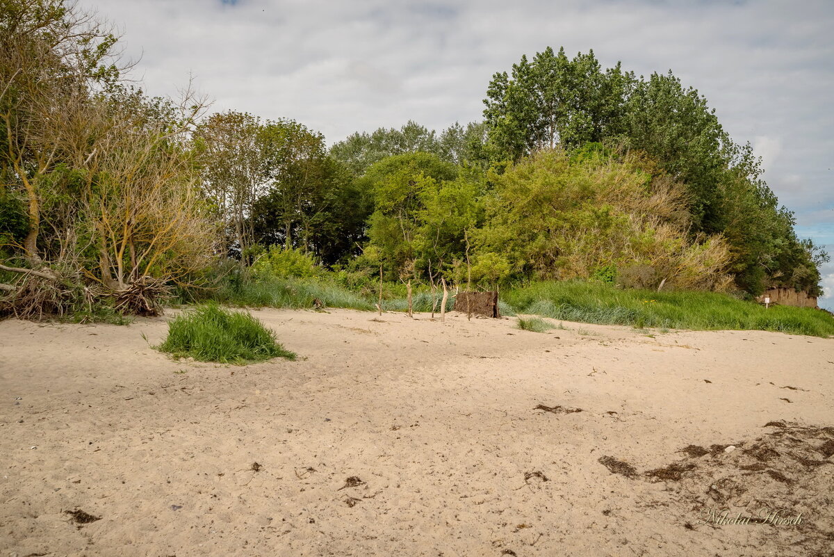 Балтийский берег... - Николай Гирш Балтийский берег... - Николай Гирш