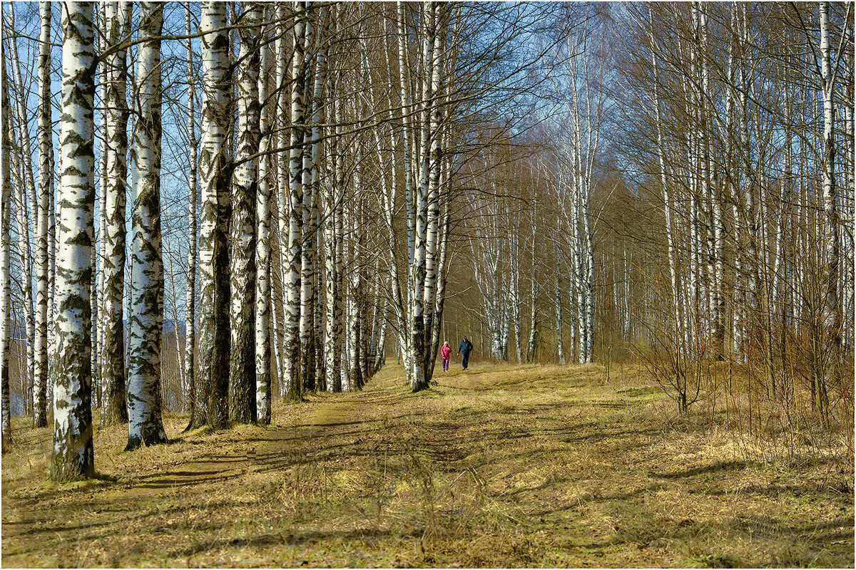 Весенний этюд - Валентин Котляров