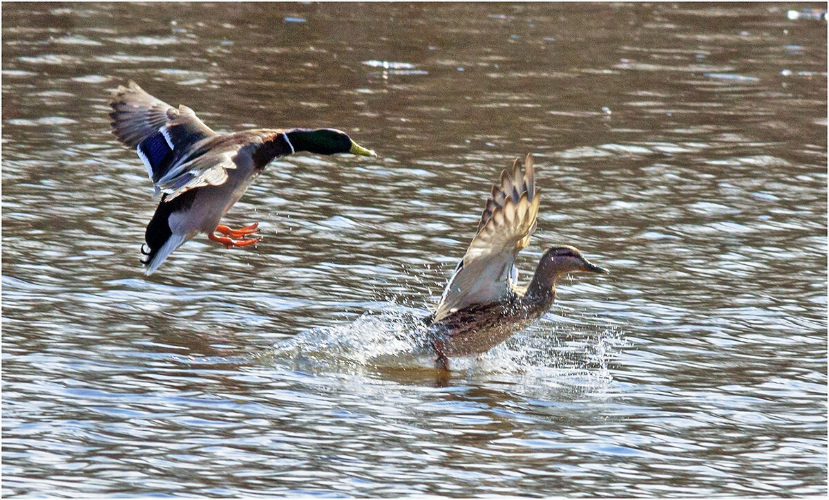 Время любви - Валентин Котляров Время любви - Валентин Котляров