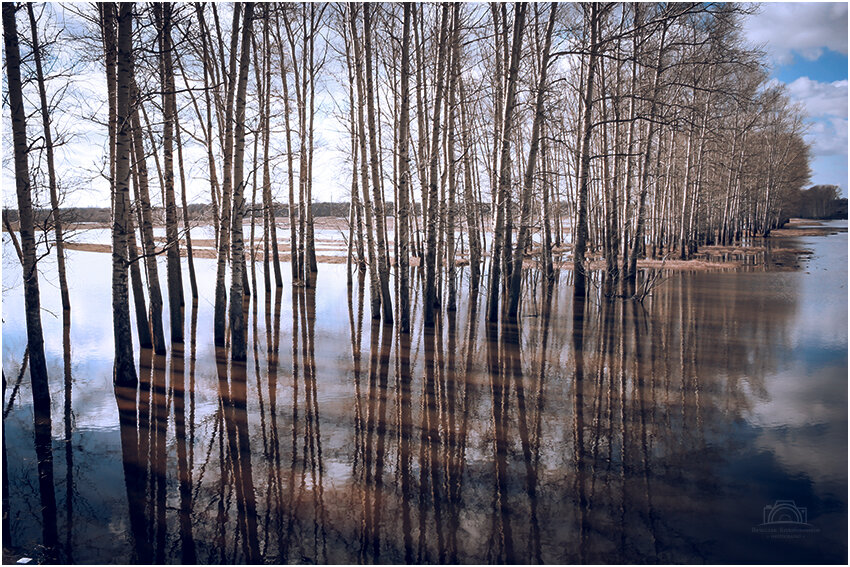Разлив в Боголюбово - Вячеслав Владимирович