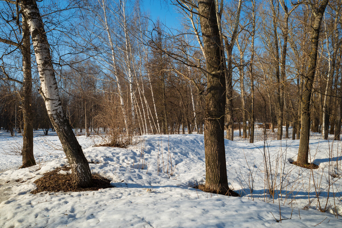 На весенней природе - Александр Синдерёв