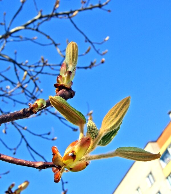 Прекрасное время года... - Елена 