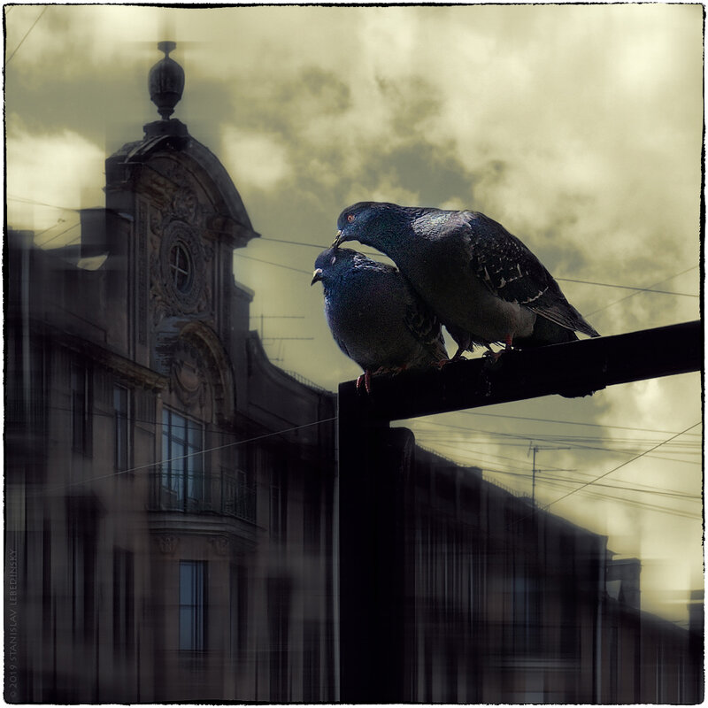 My magic Petersburg_03370 «Влюблённые». Улица Кирочная, июль 2019 г. - Станислав Лебединский My magic Petersburg_03370 «Влюблённые». Улица Кирочная, июль 2019 г. - Станислав Лебединский