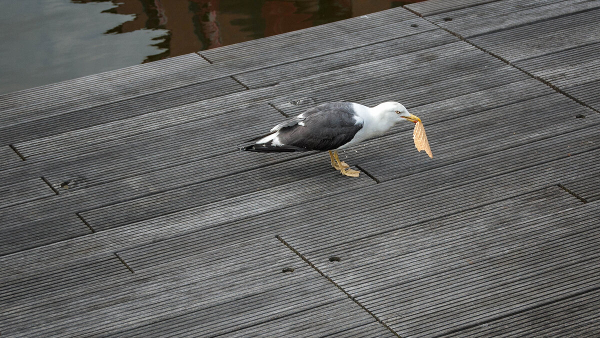 Bremerhaven - Олег Зак Bremerhaven - Олег Зак
