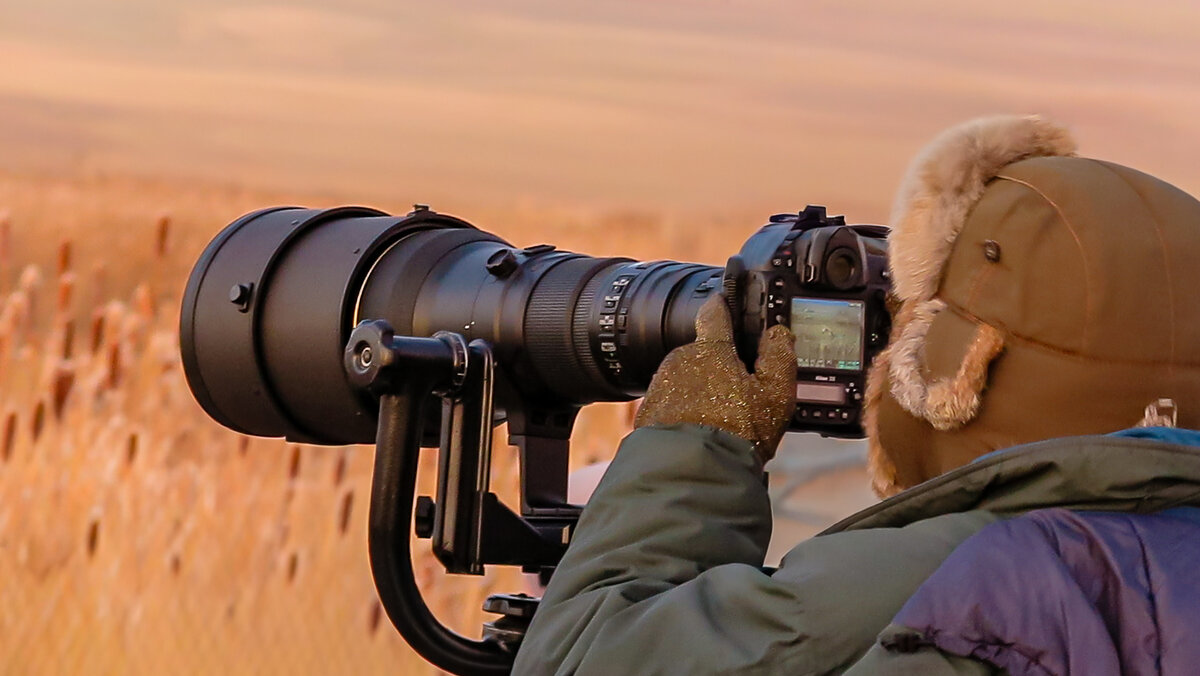 Фотограф - Николай Бабухин