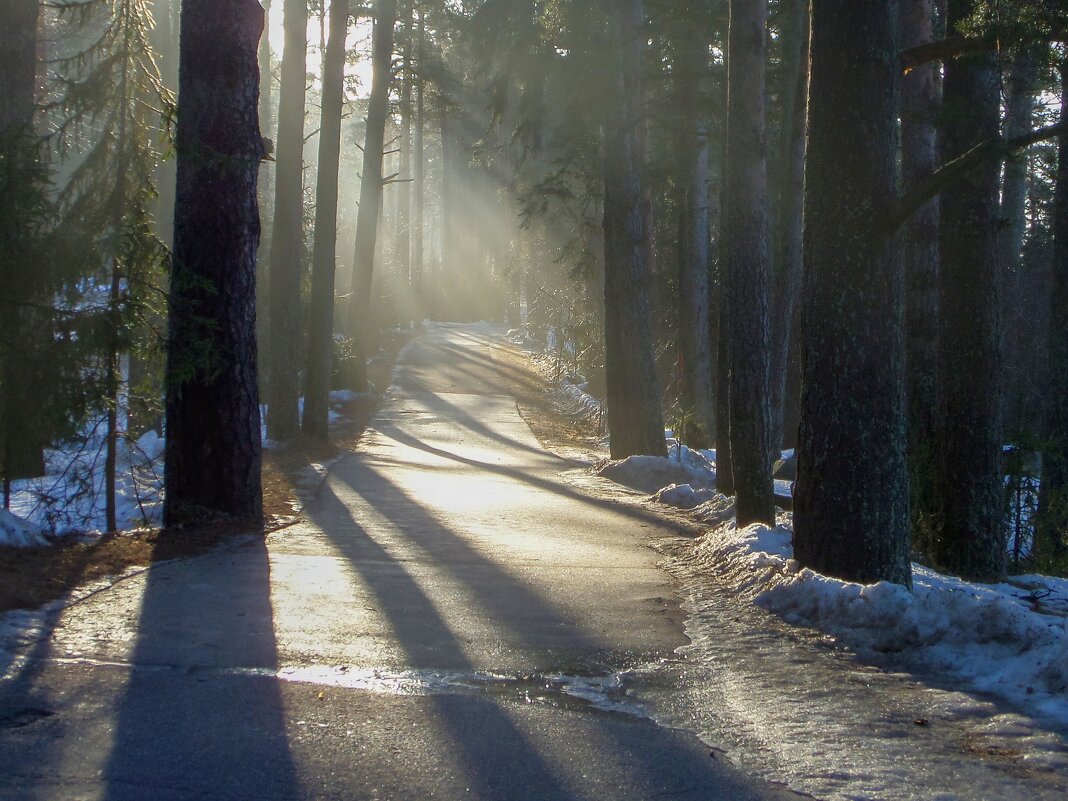 Весенние тени...... - Юрий Цыплятников