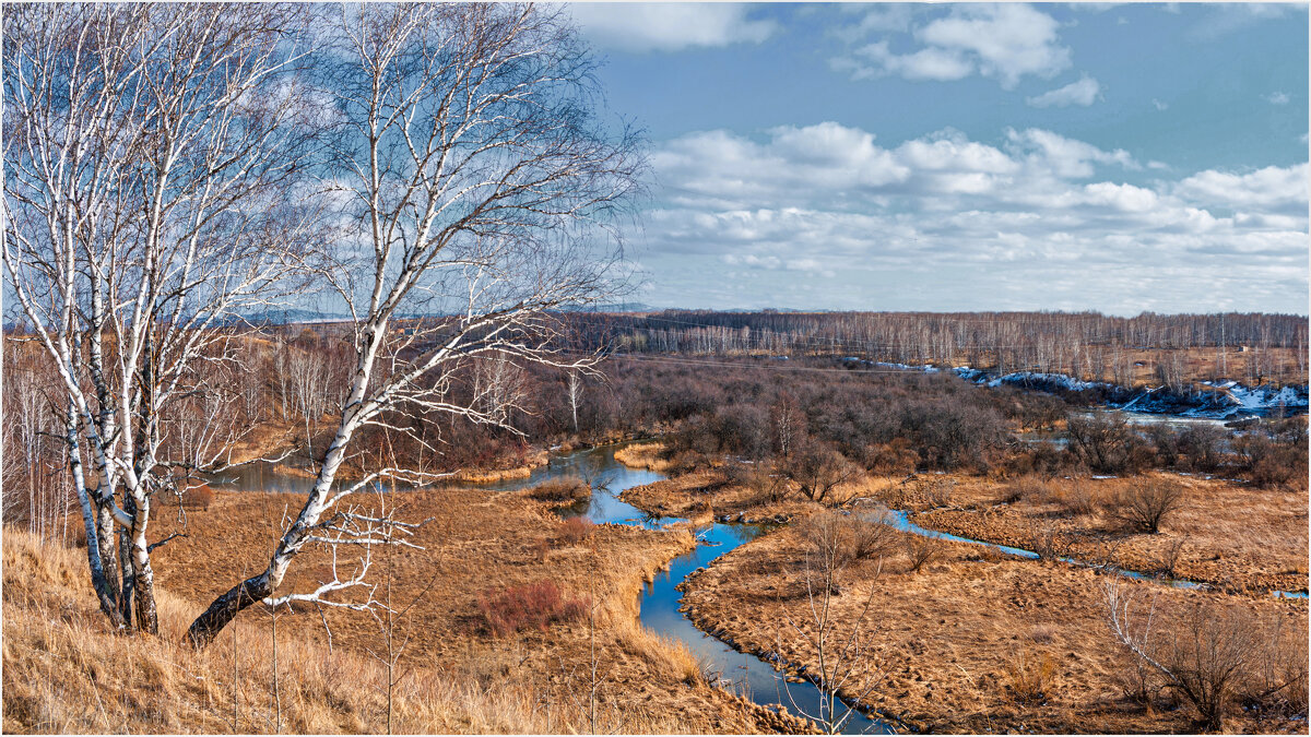 *** - Алексей Мезенцев