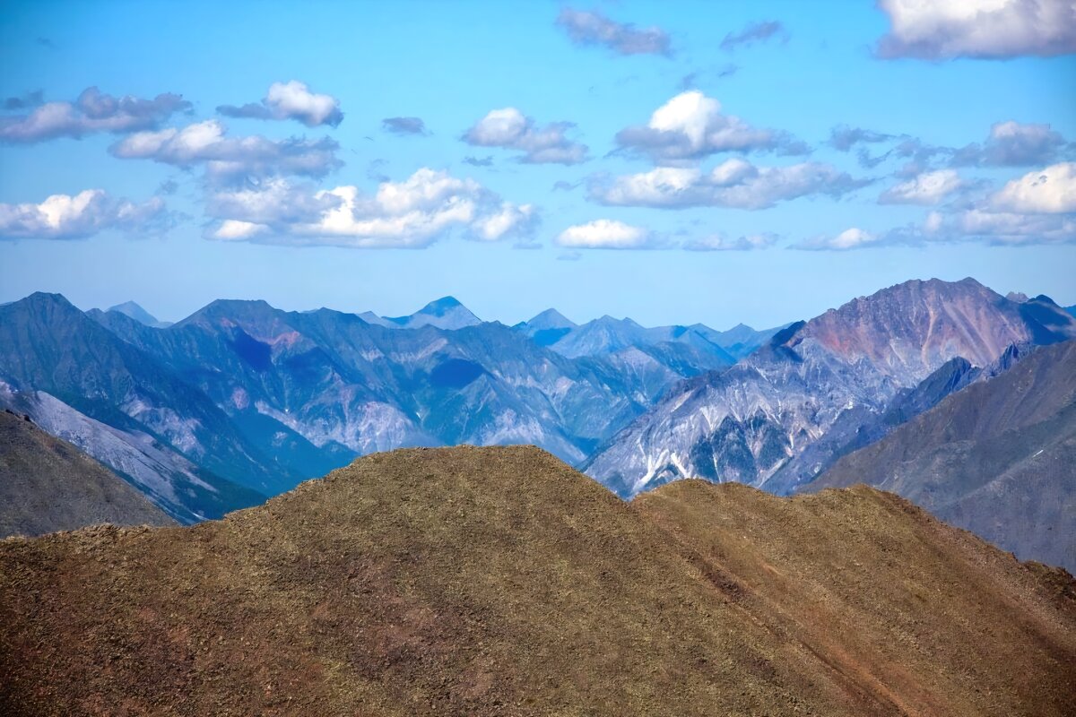 Даль - Виктор Фоменко