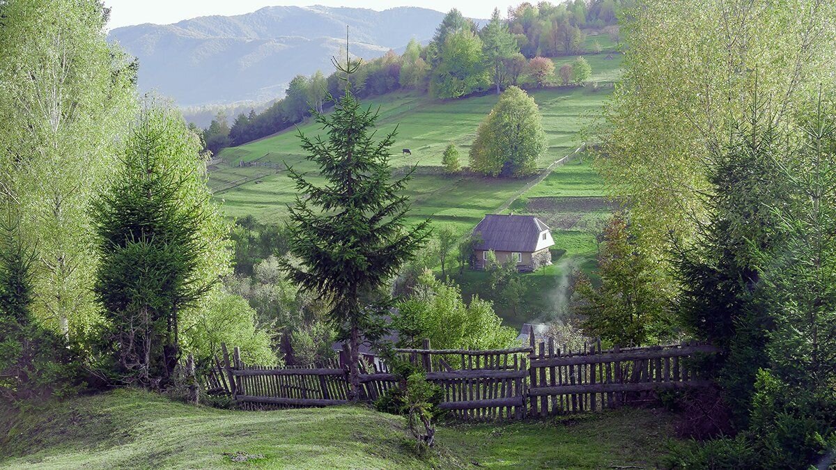 Весна идёт семимильными шагами - Alexandеr P