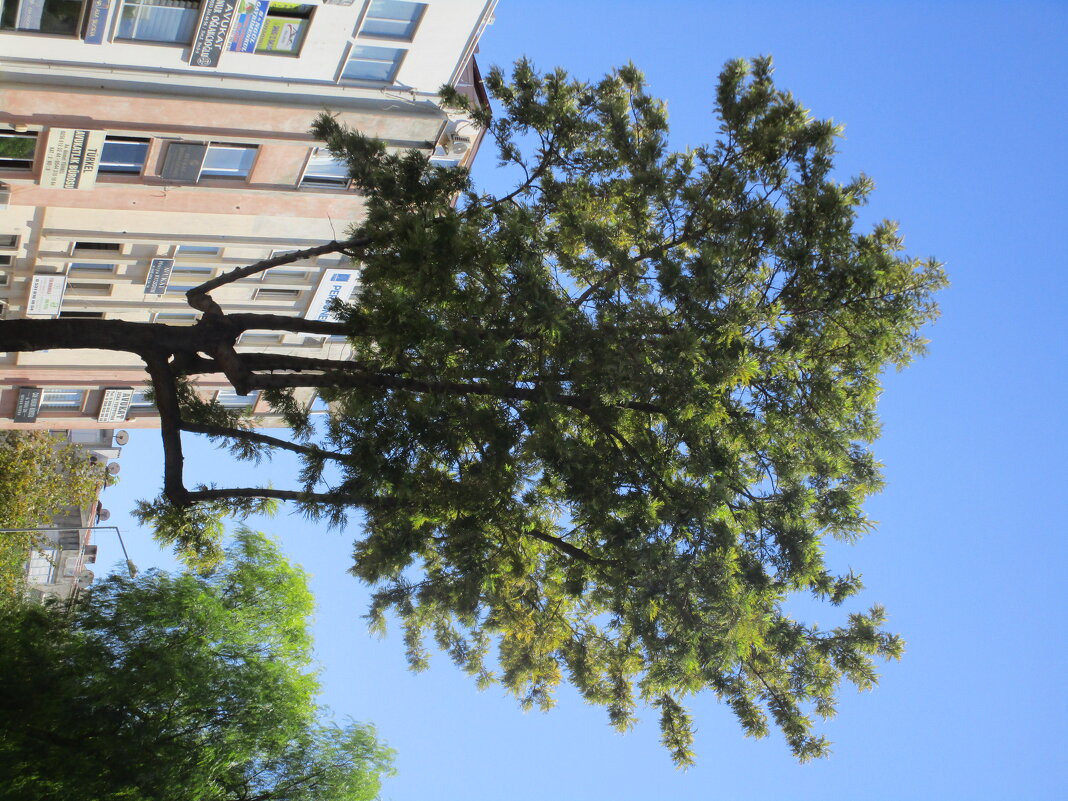 Кушадасы  Турция - Елена Шаламова