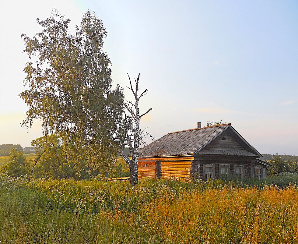 ОБРЕЧЕНИЕ  ЖИТЬ - Русский Шах Гончар