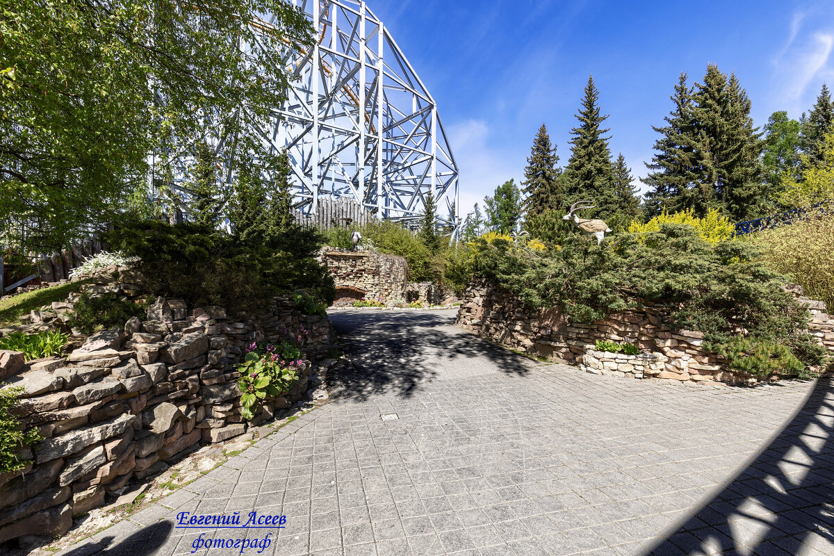 Диво-остров - Евгений Диво-остров - Евгений