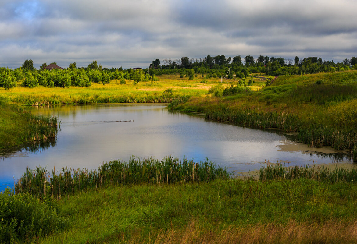 На пруду - Владимир Гришин На пруду - Владимир Гришин