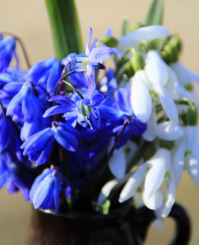 Весенний Букетик :) - Татьян@ Ивановна