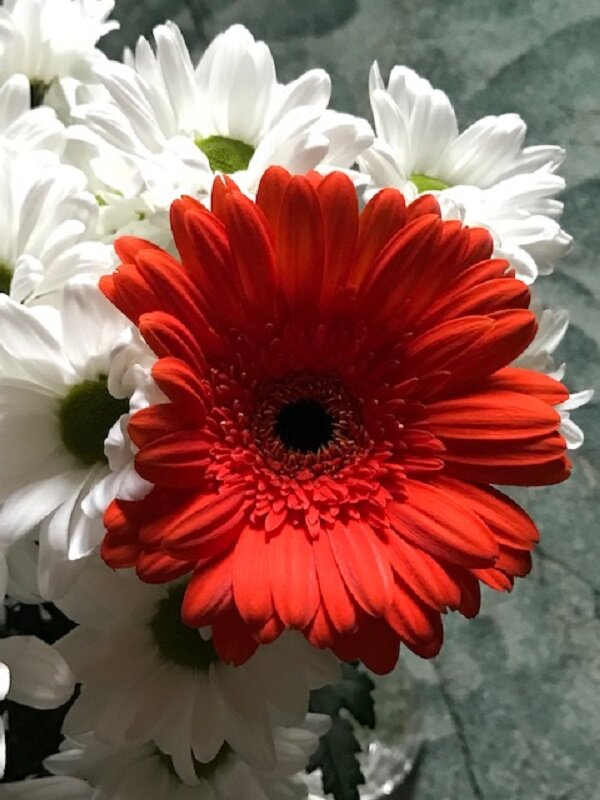 *** - Татьяна Юрасова