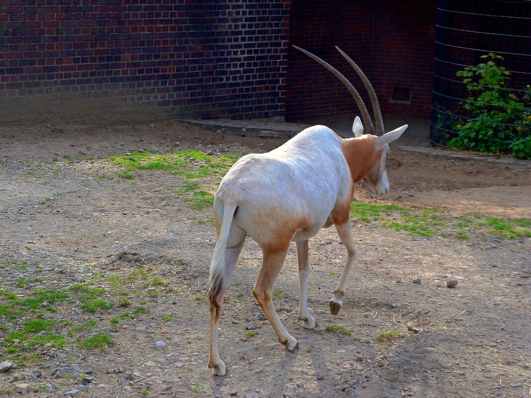 Да пошел бы ты на... НЕБО!!! - Сергей Карачин