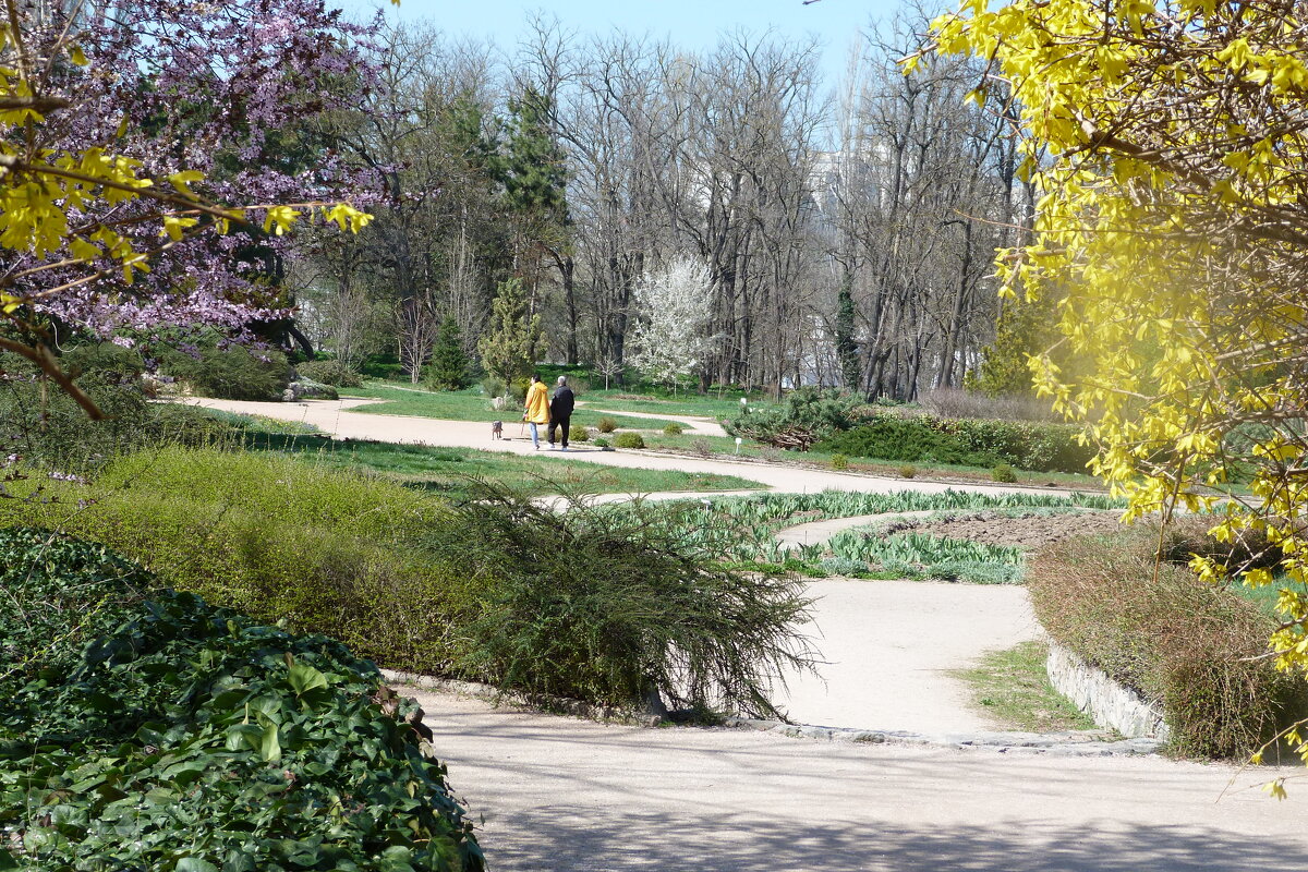 Весна в парке Н В Багрова - Валентин Семчишин Весна в парке Н В Багрова - Валентин Семчишин