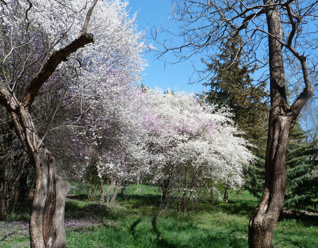 Весенний пейзаж - Валентин Семчишин Весенний пейзаж - Валентин Семчишин
