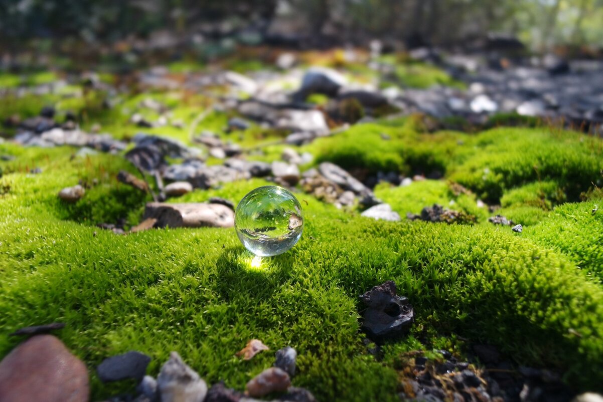 микрокосм - Aндрей Антонов