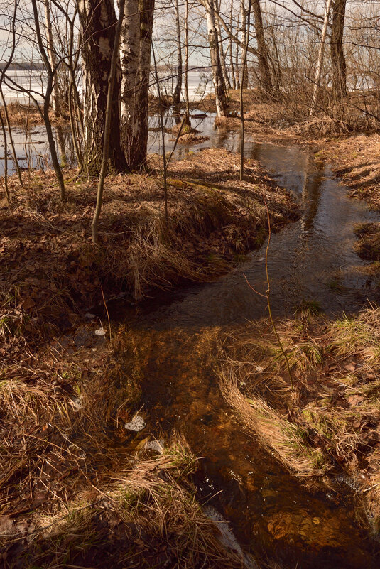 Весна - Алексей Чистополов