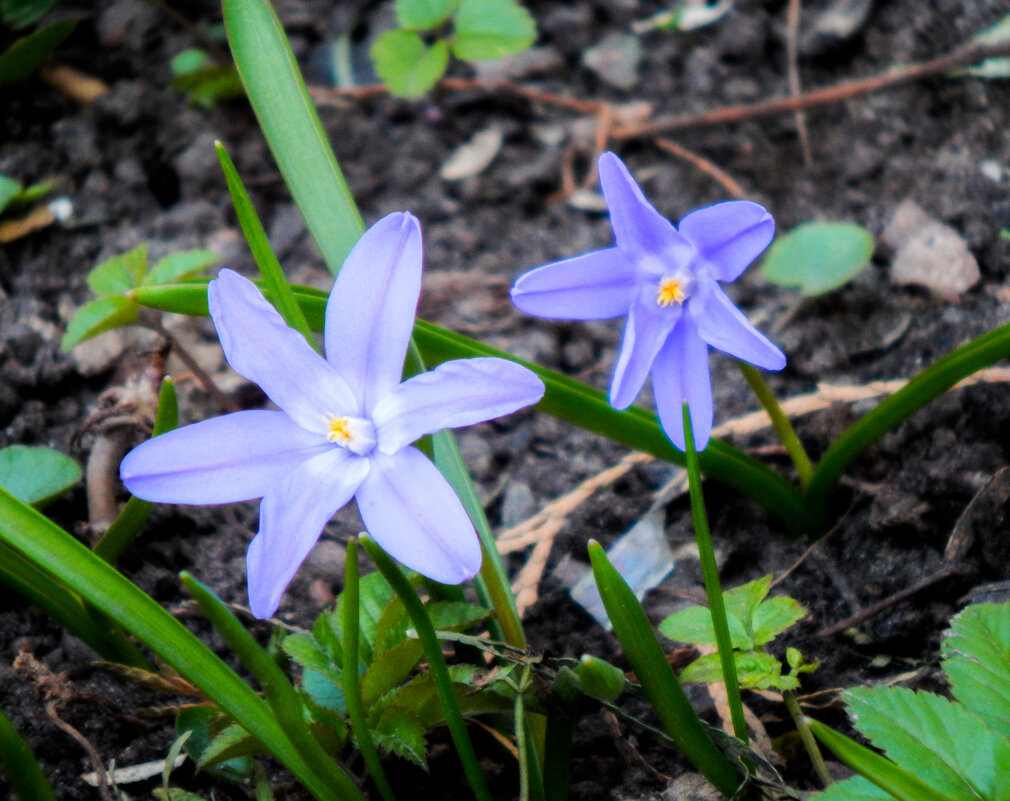 Весеннее - Магомед .