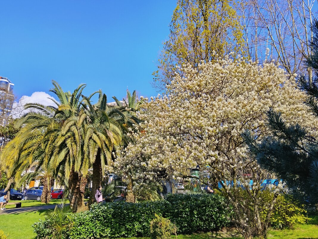 ВОСКРЕСНЫЙ ДЕНЬ - Tata Wolf