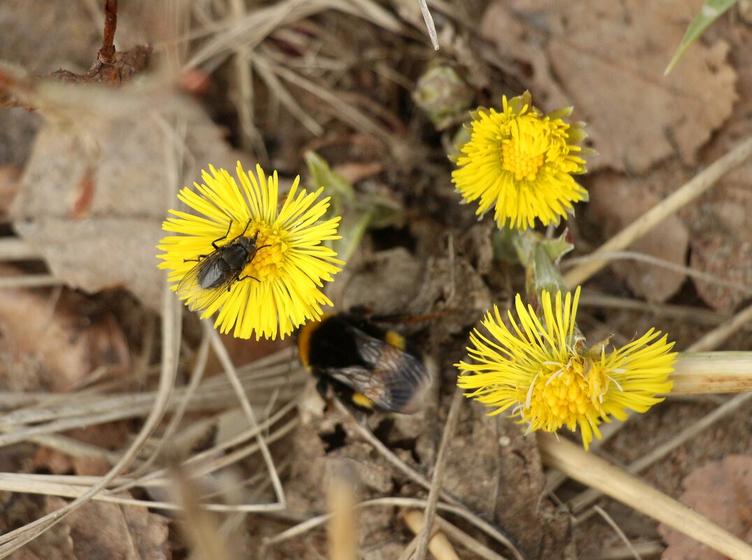 Моменты весны - Наталья Герасимова