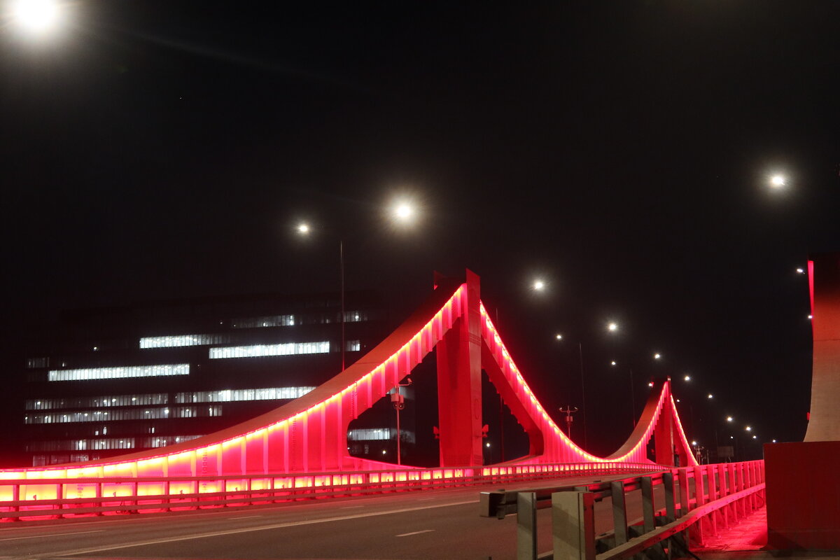 Гагаринский мост - Дмитрий И_