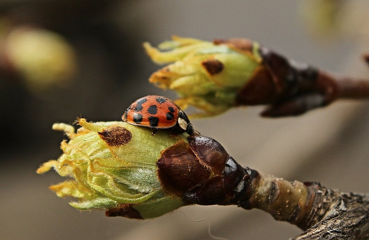 ...пробуждение... - Александр Герасенков