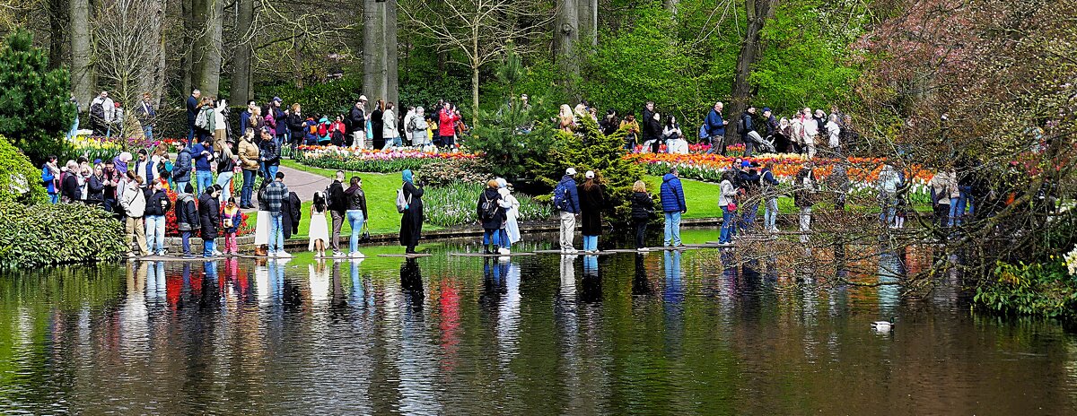 Королевство цветов(серия) - Владимир Манкер
