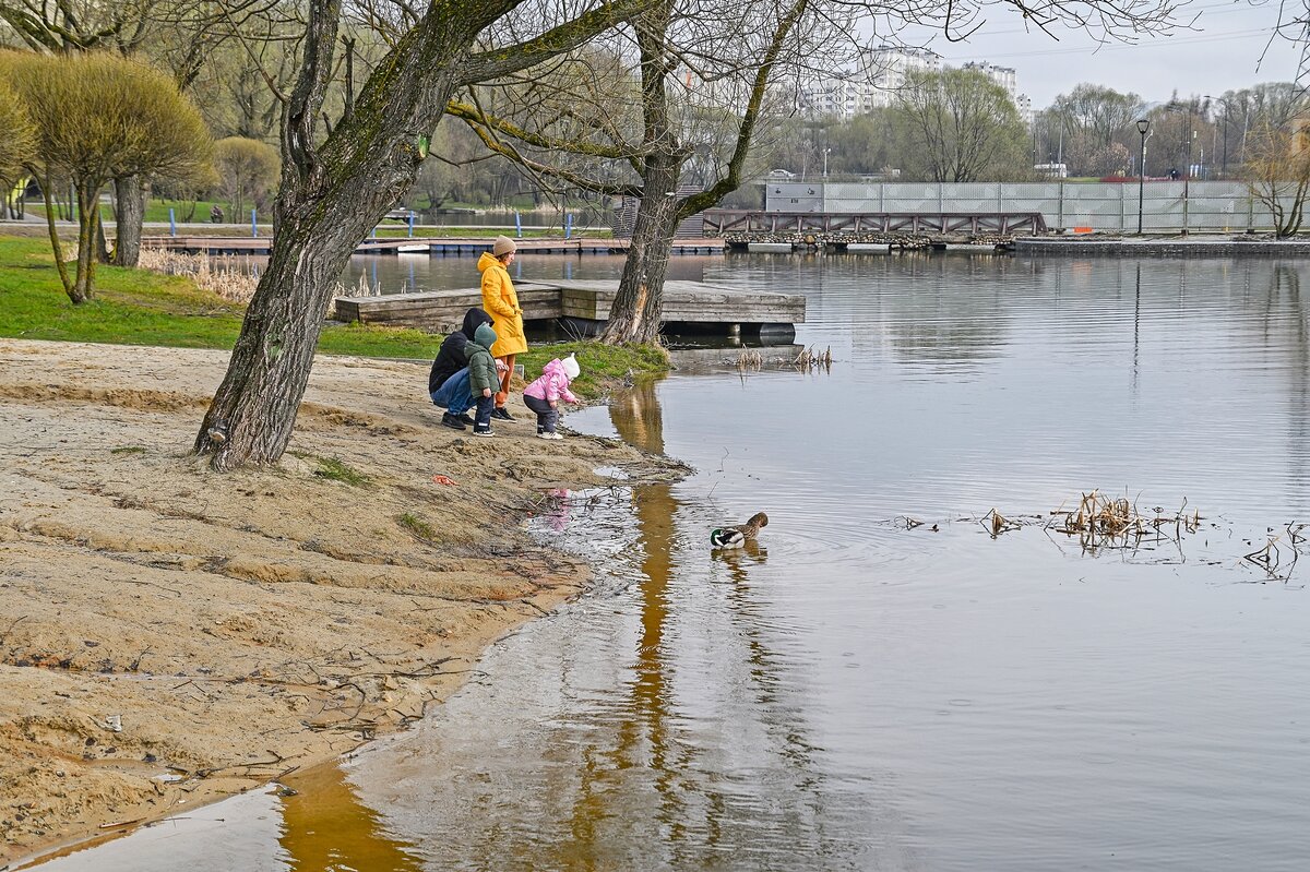 На берегу городского пруда - Валерий Иванович