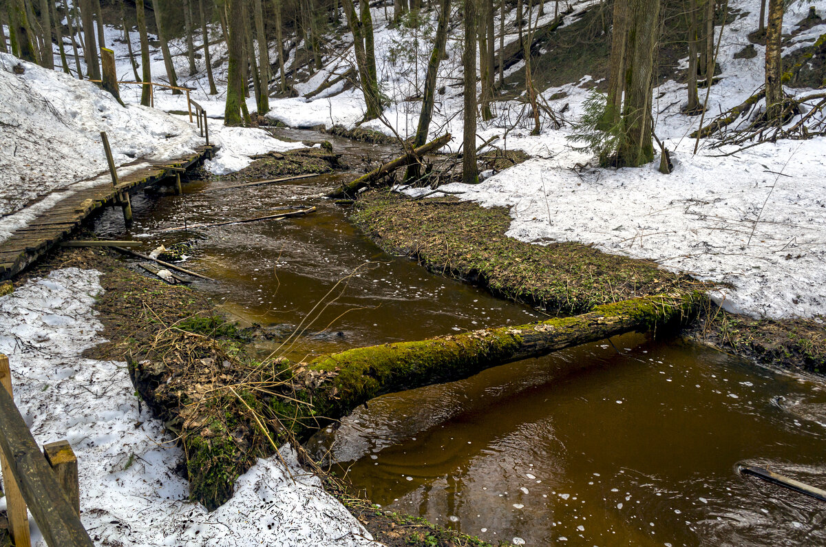 Вдоль ручья - Сергей Цветков Вдоль ручья - Сергей Цветков