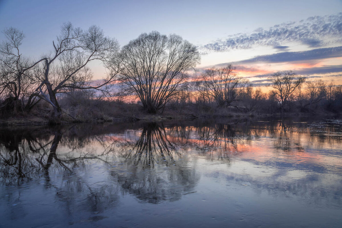 **** - Елизавета .