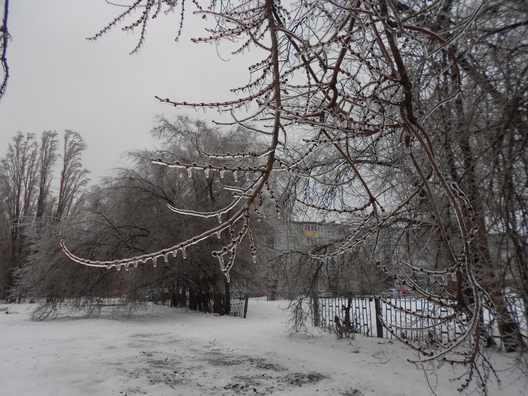 Ледяной день - Елена Шаламова