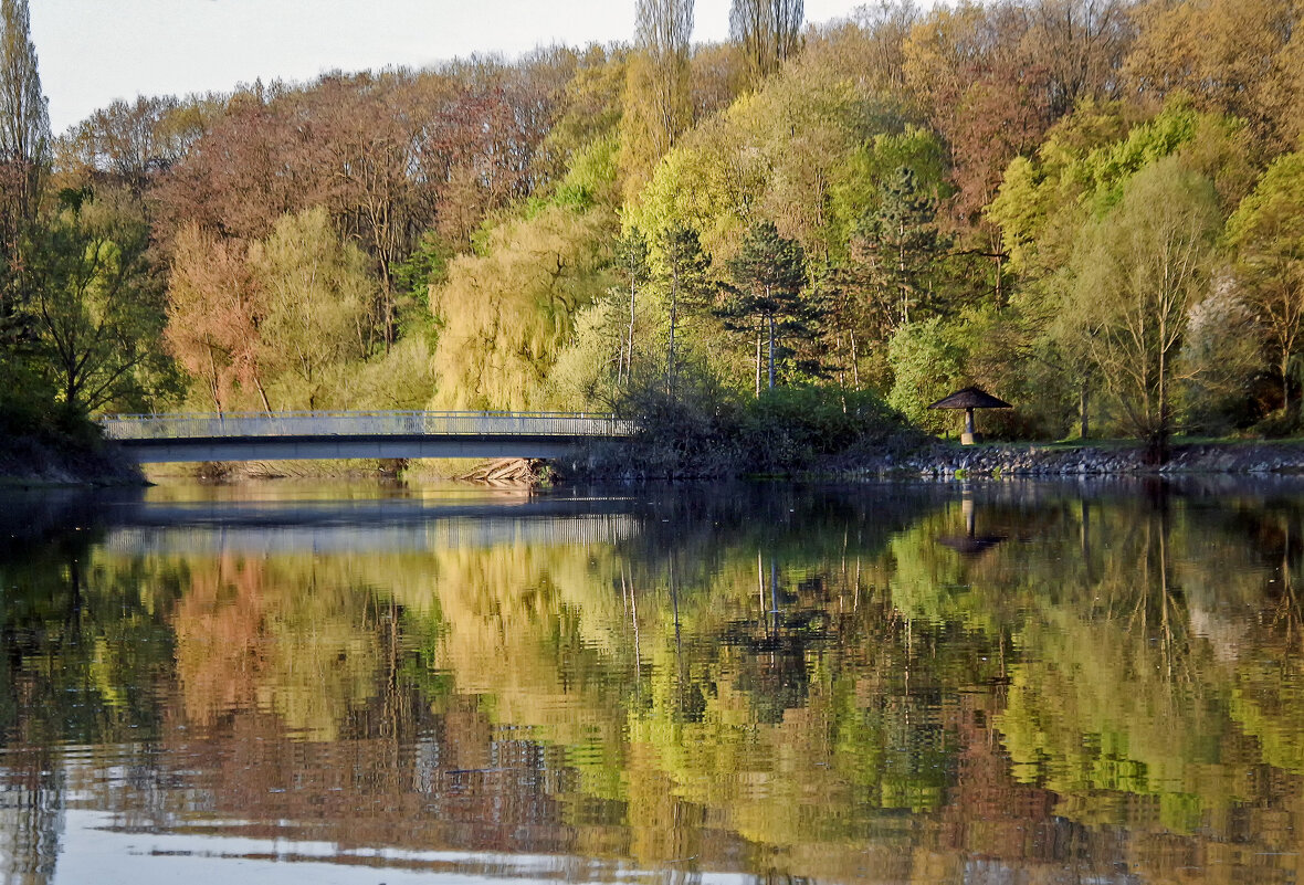 **** - Андроник Александр 