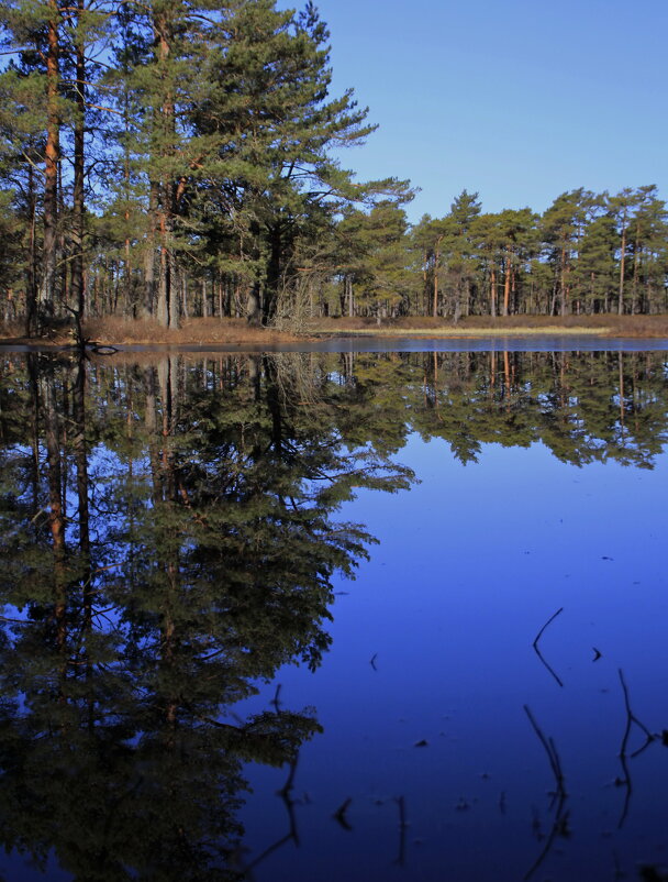 Оттенки весны .. - Татьян@ Ивановна Оттенки весны .. - Татьян@ Ивановна