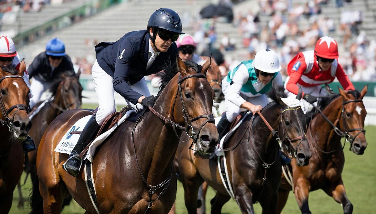 Конный спорт - СЕРГЕЙ ФИЛОЧКИН