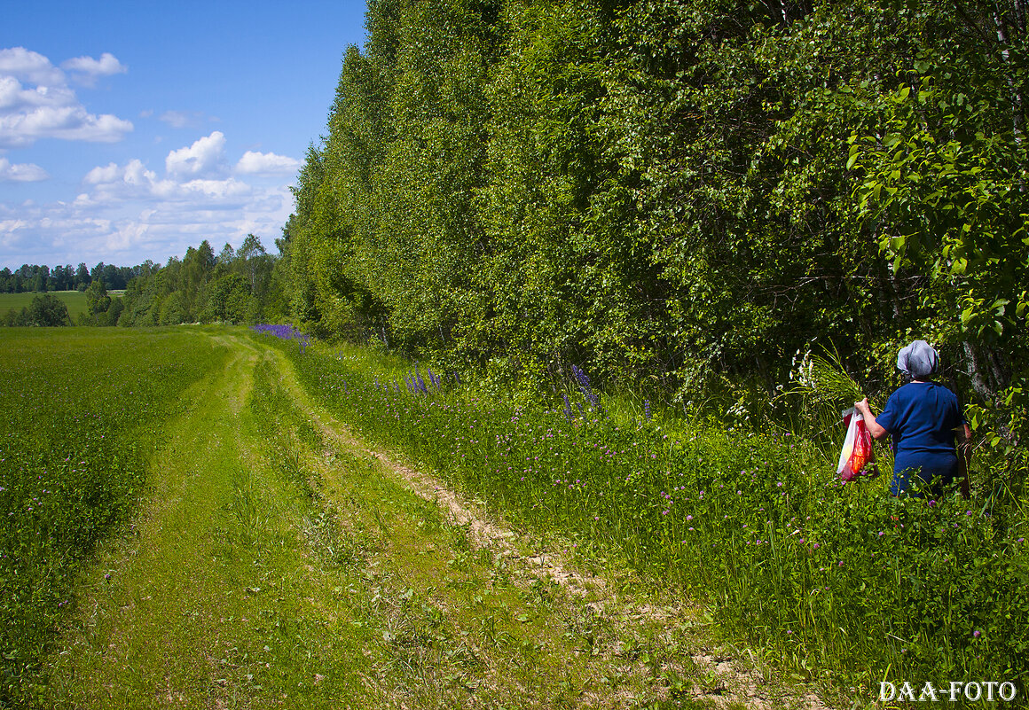 ДЕРЕВЕНСКАЯ ИДИЛЛИЯ. - Александр Дмитриев